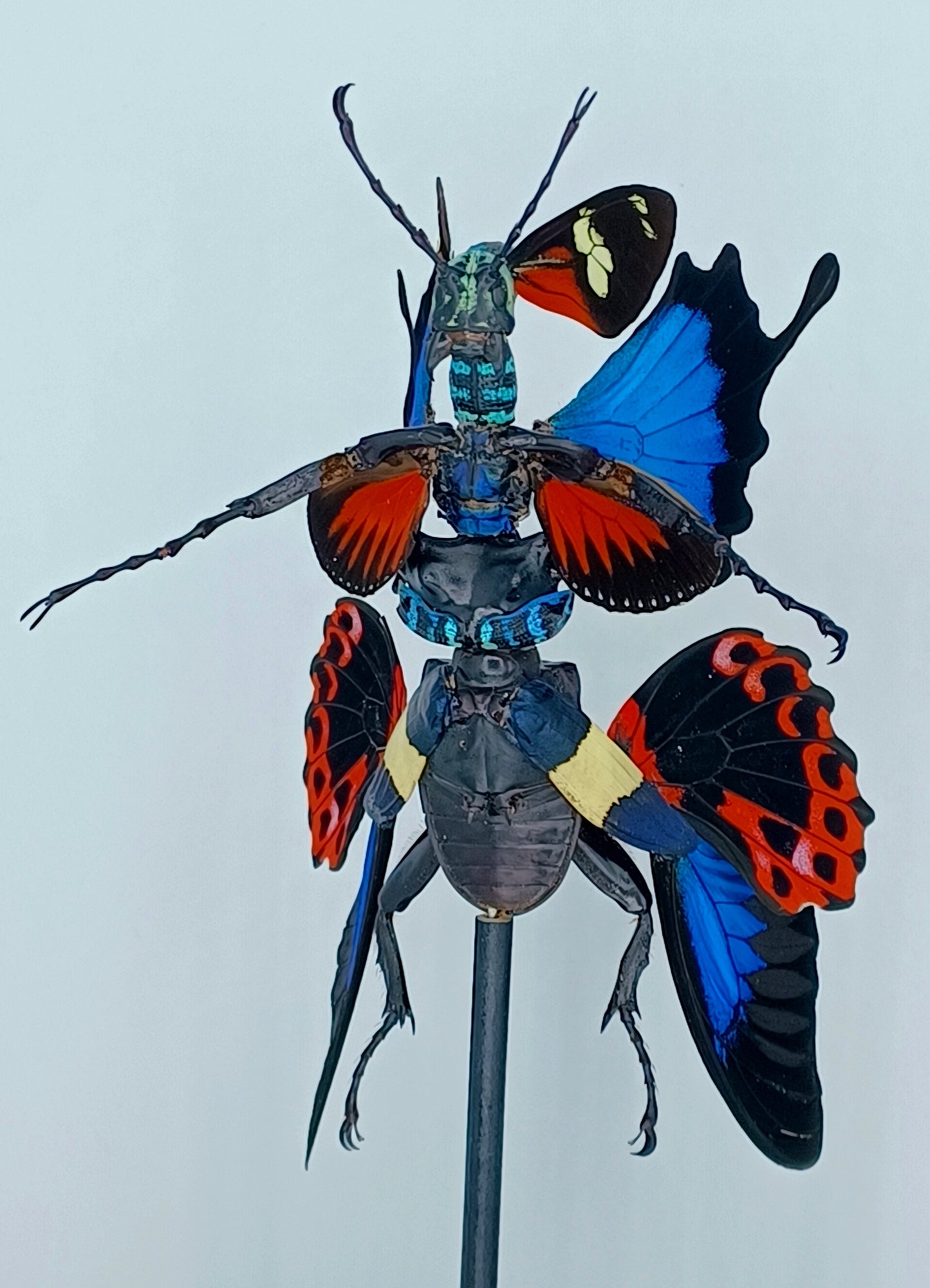 Mythix Fairy - Specimen #028