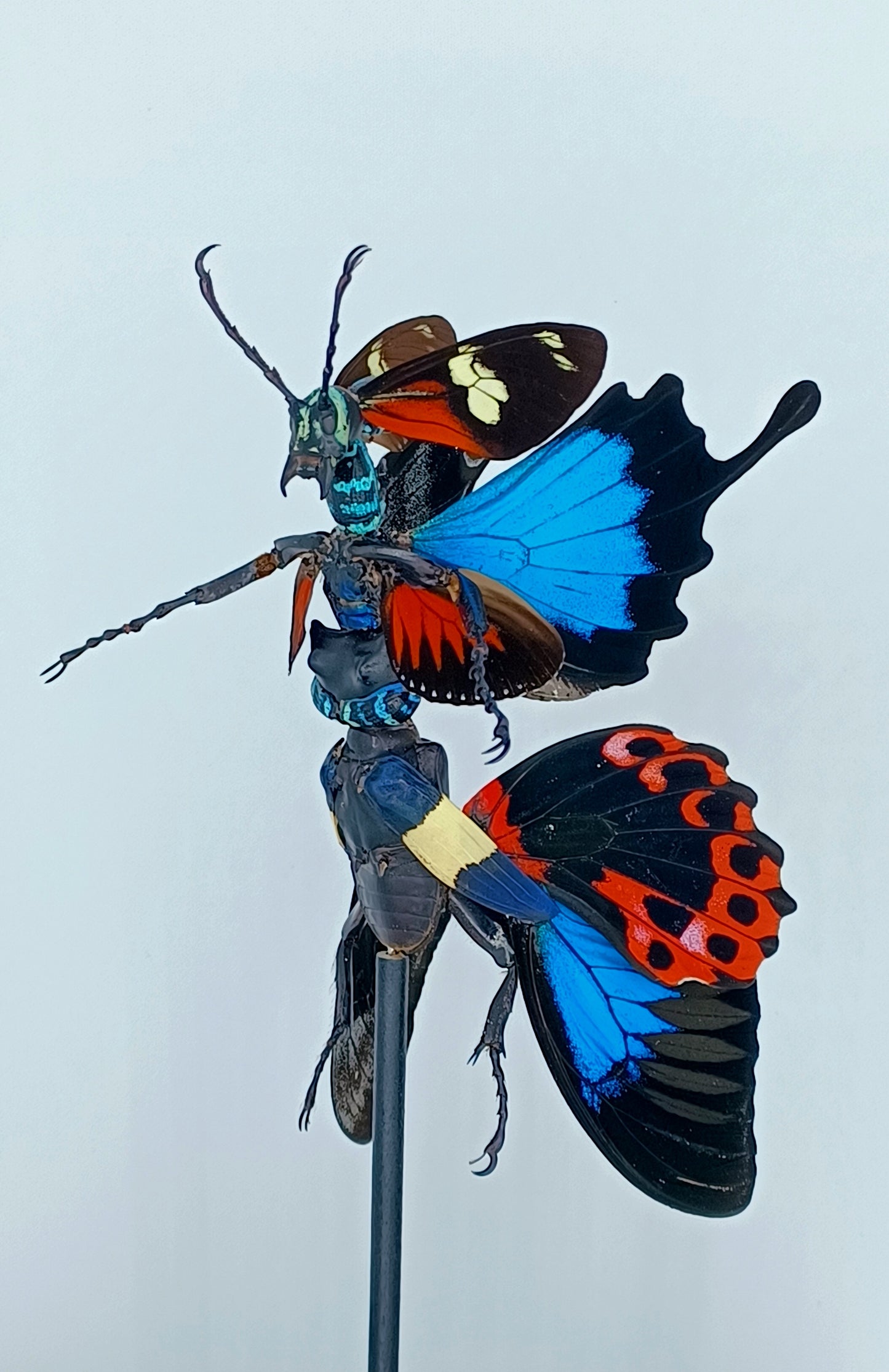 Mythix Fairy - Specimen #028