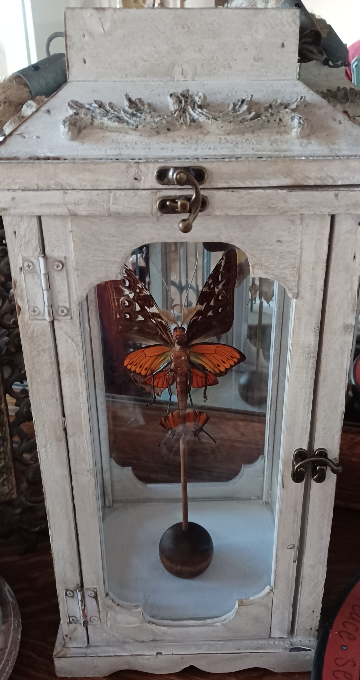 Mythix Fairy - Specimen #040