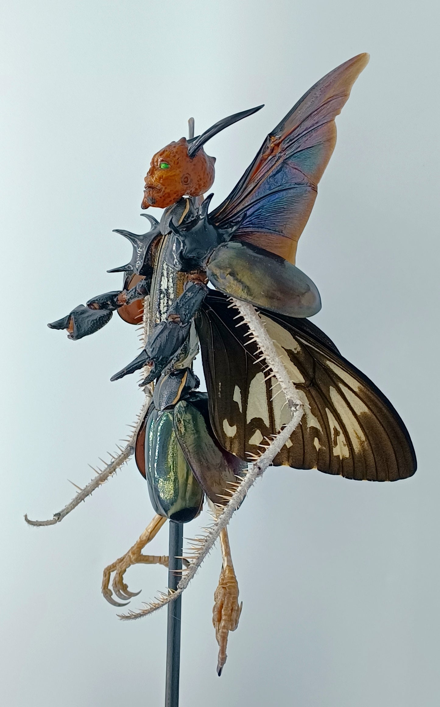 Mythix Royal Darkling Sprite - Specimen #043