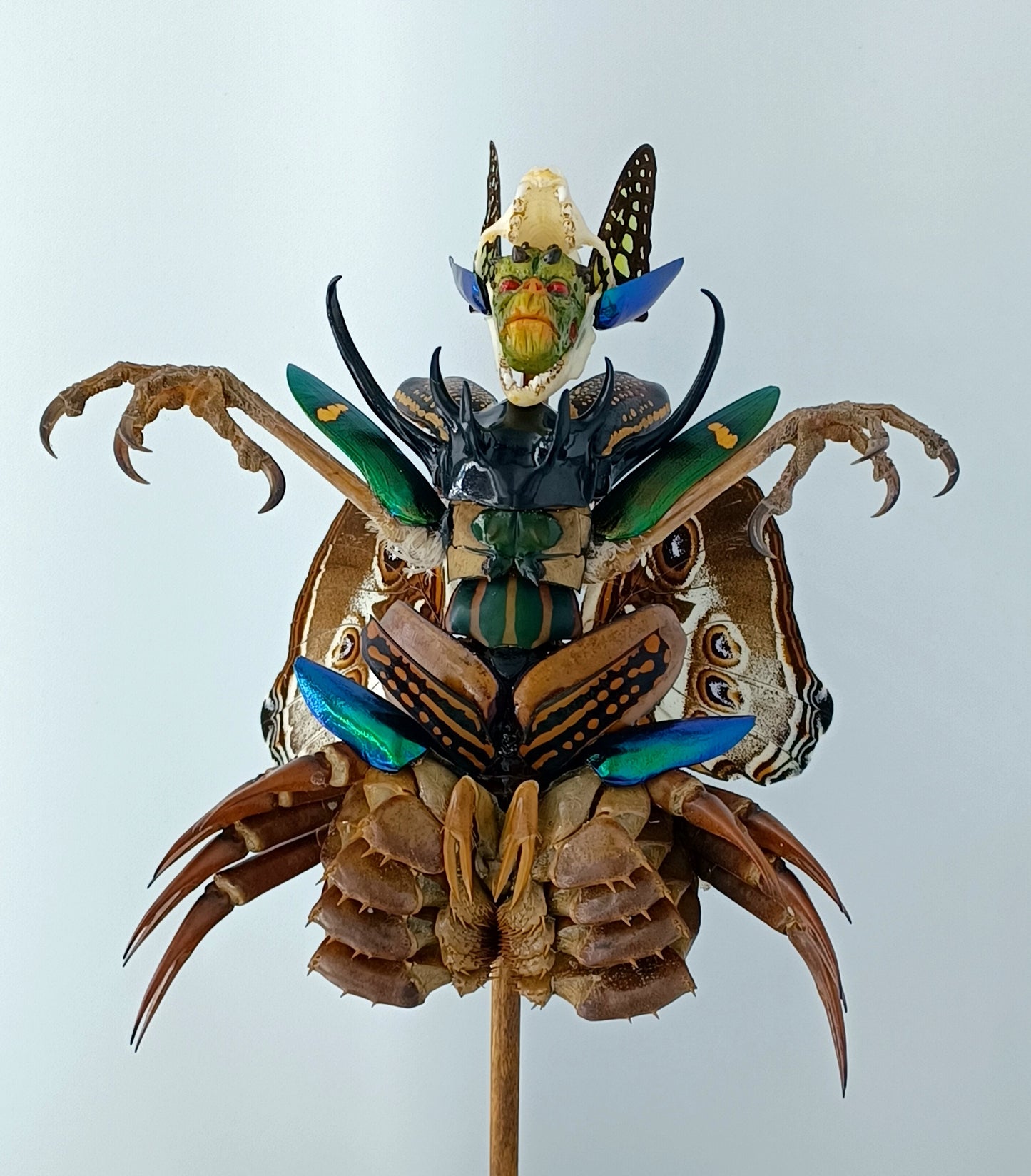 Mythix Royal Darkling Sprite - Specimen #044