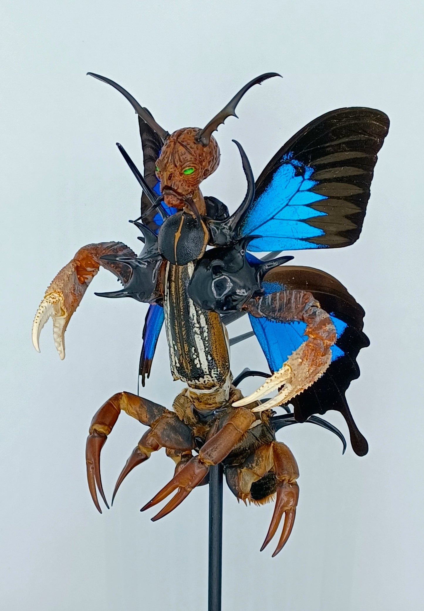 Mythix Royal Darkling Sprite - Specimen #045