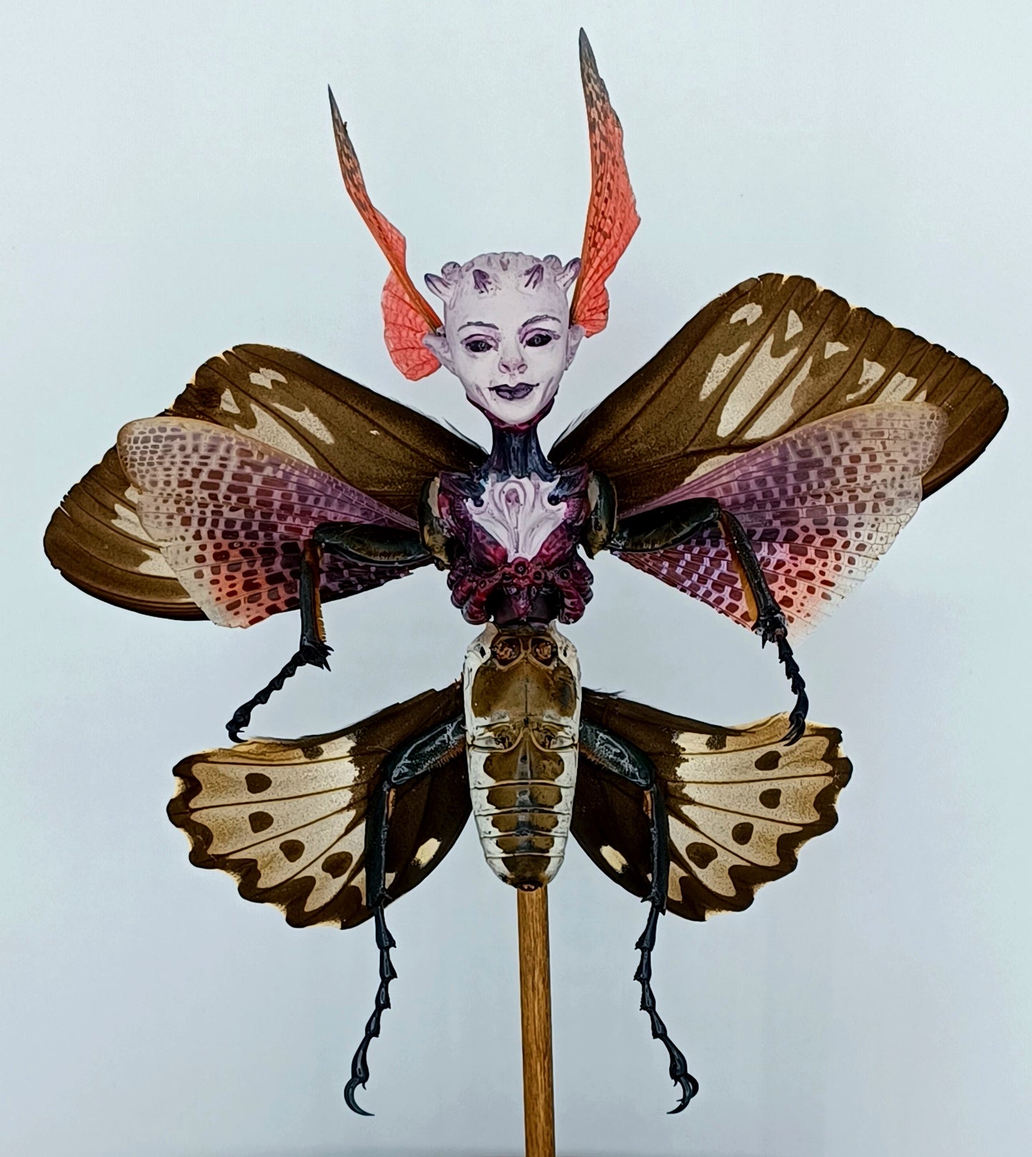 Mythix Royal Fairy - Specimen #048