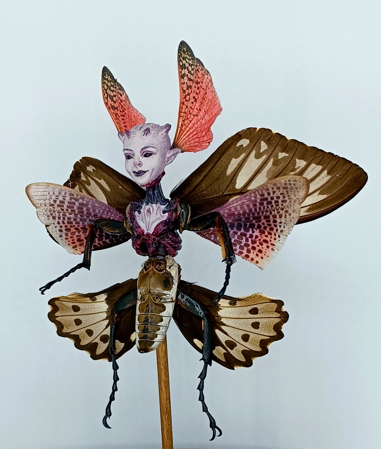 Mythix Royal Fairy - Specimen #048