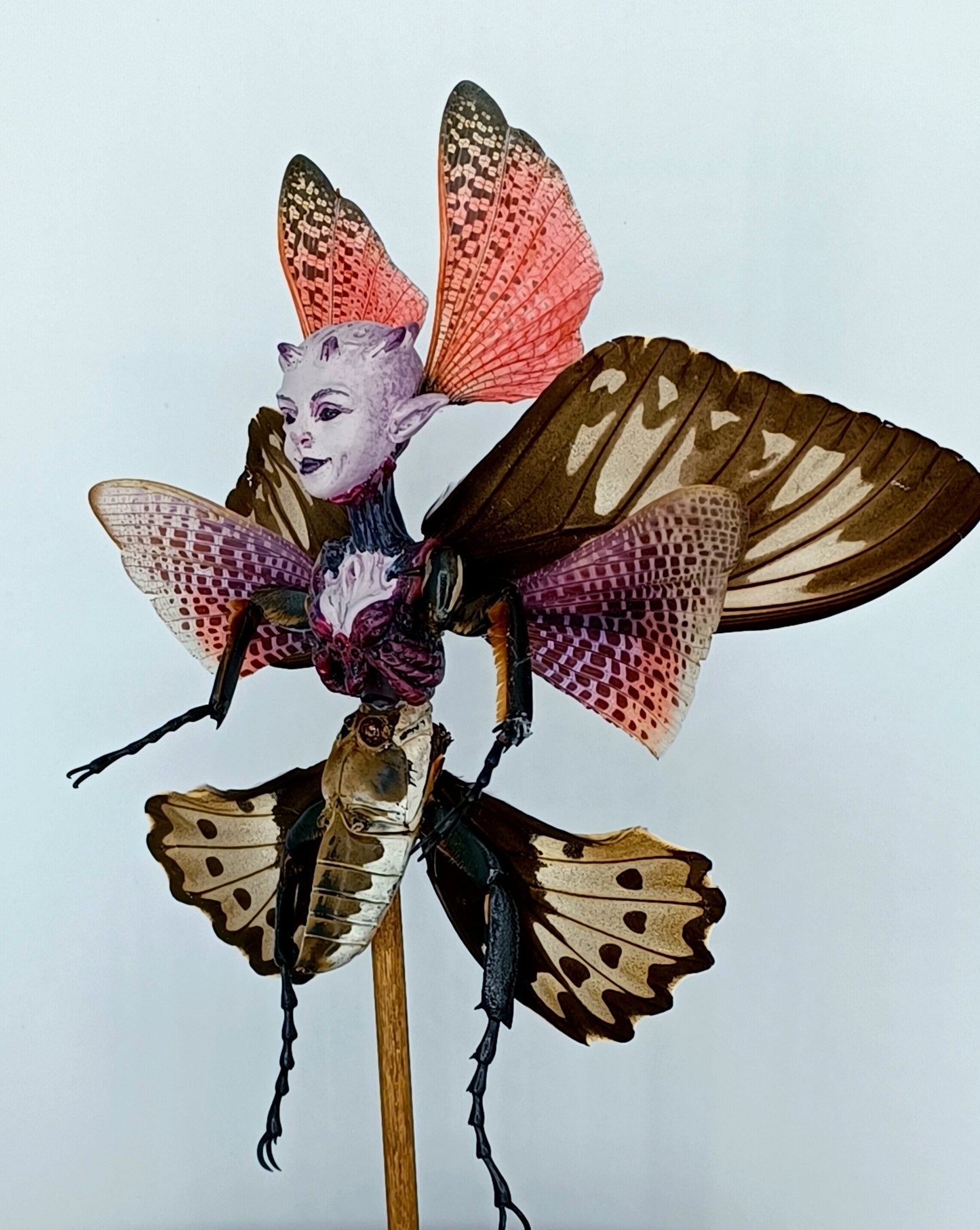 Mythix Royal Fairy - Specimen #048