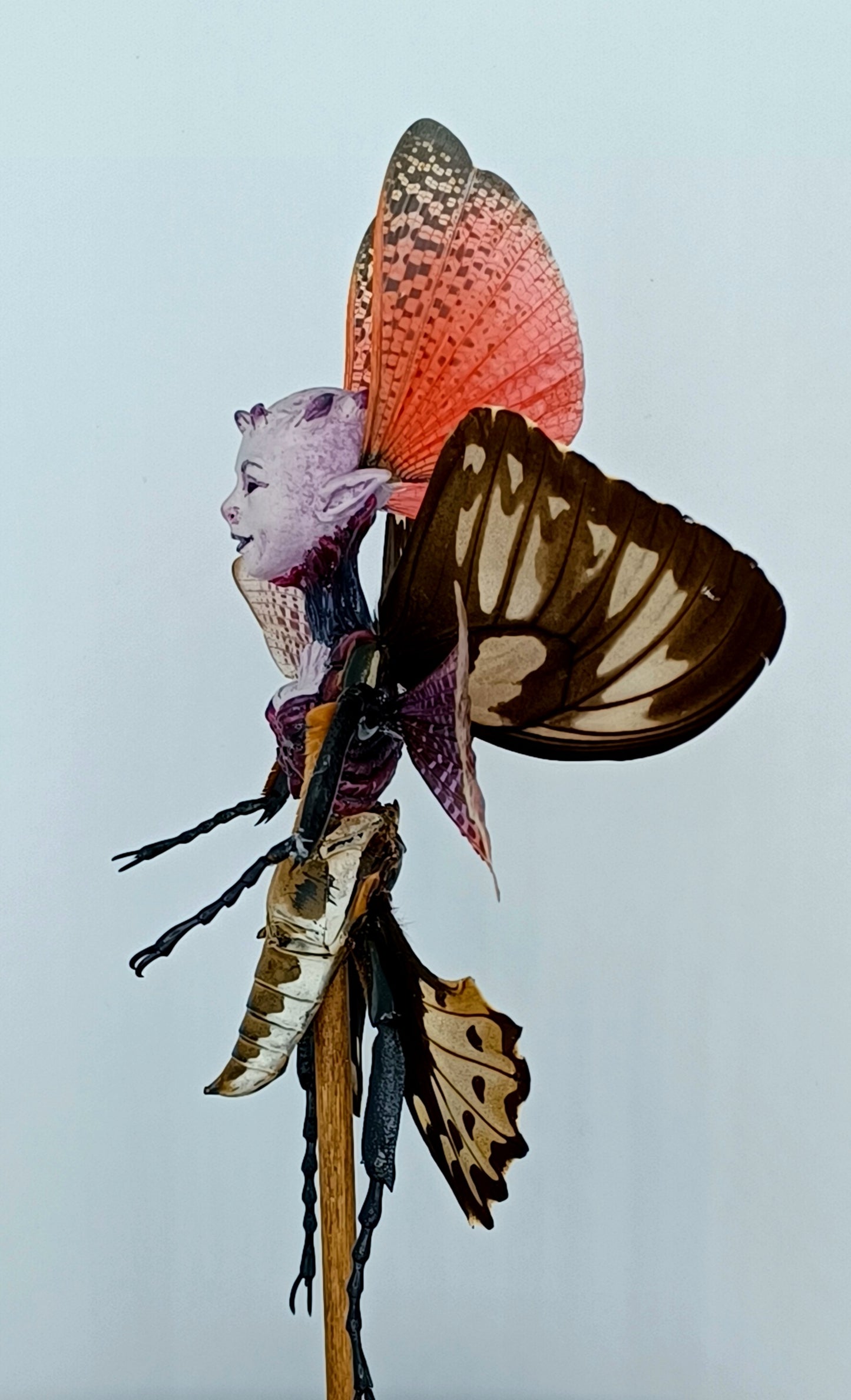 Mythix Royal Fairy - Specimen #048