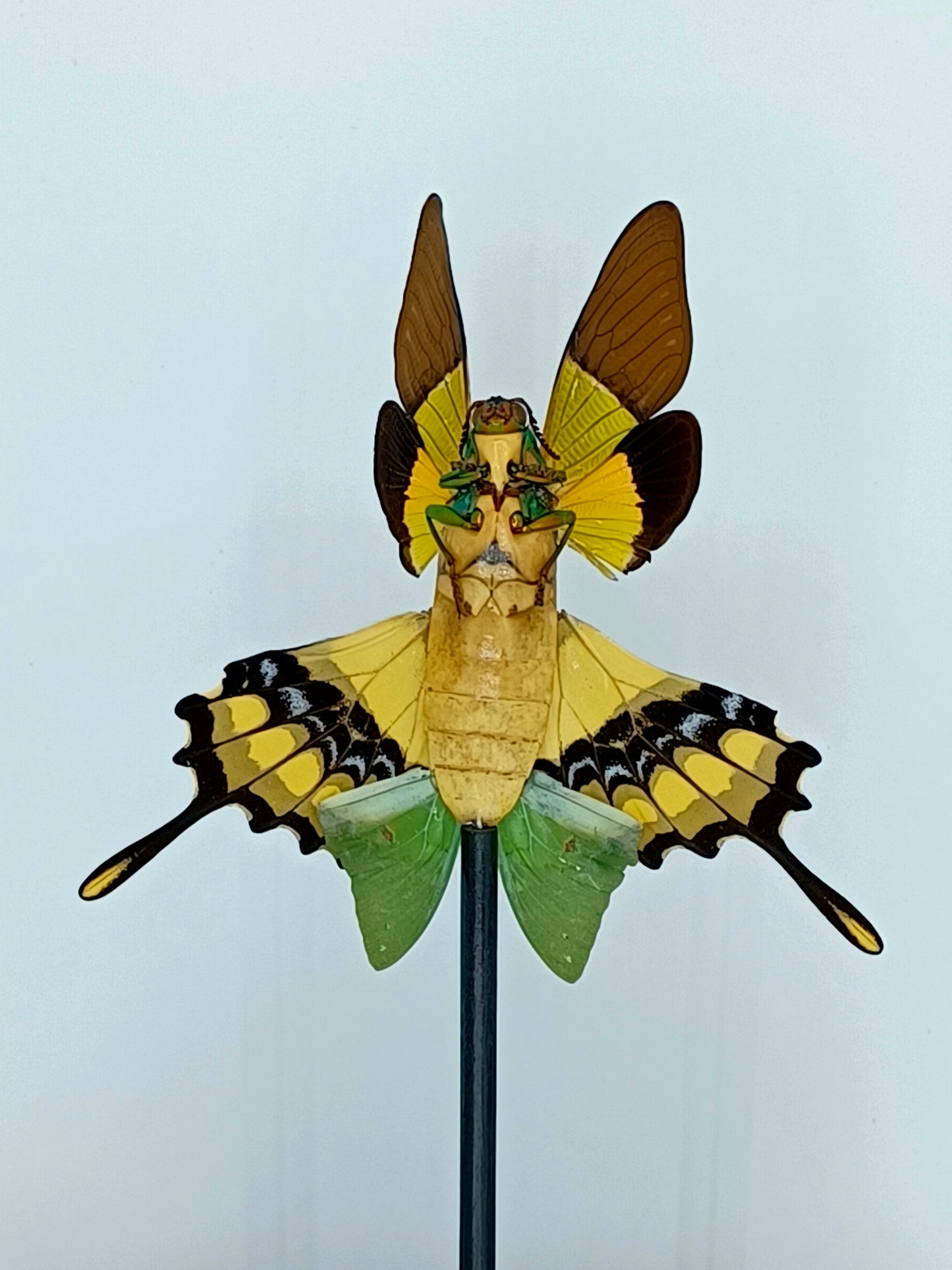 Mythix Fairy - Specimen #051