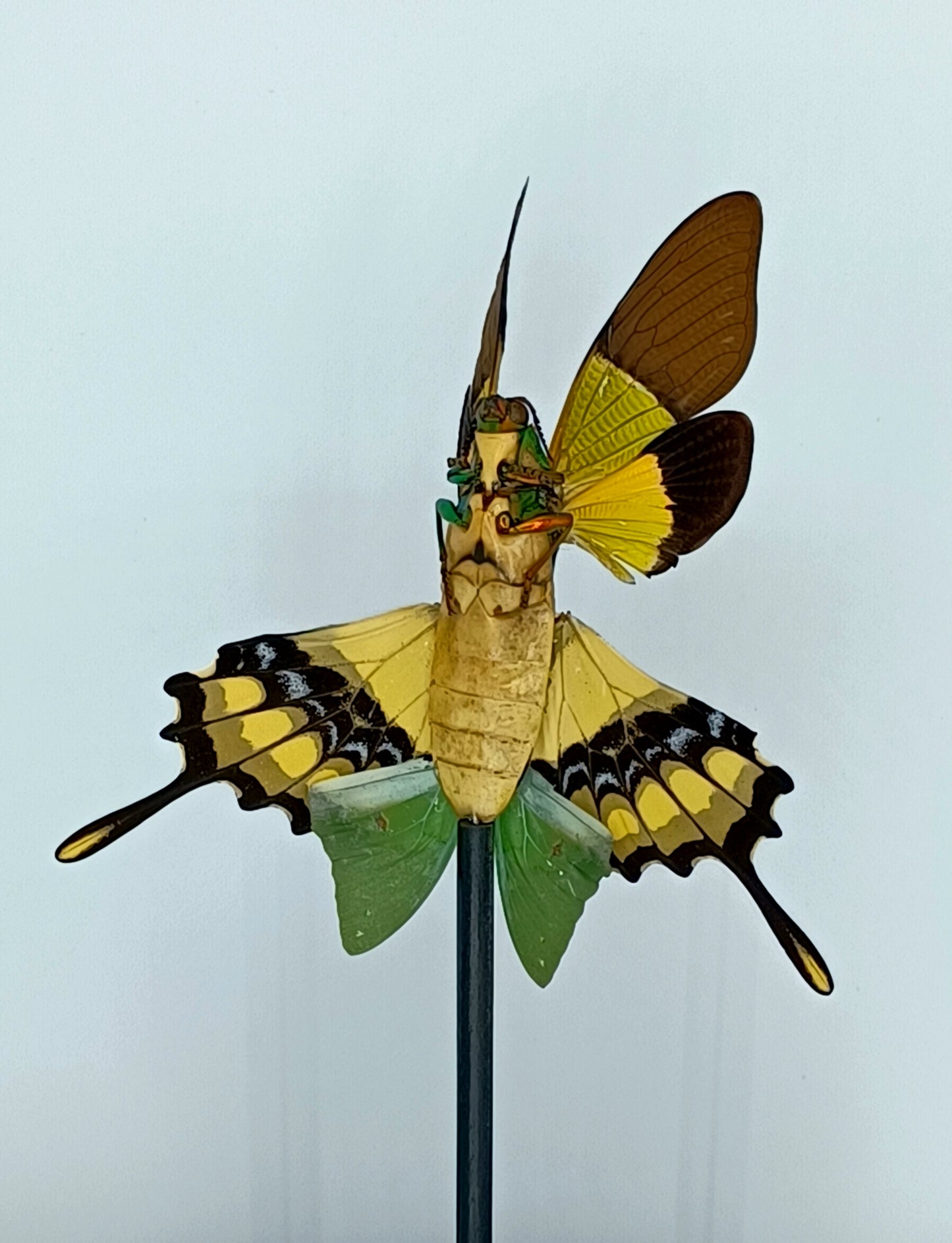 Mythix Fairy - Specimen #051