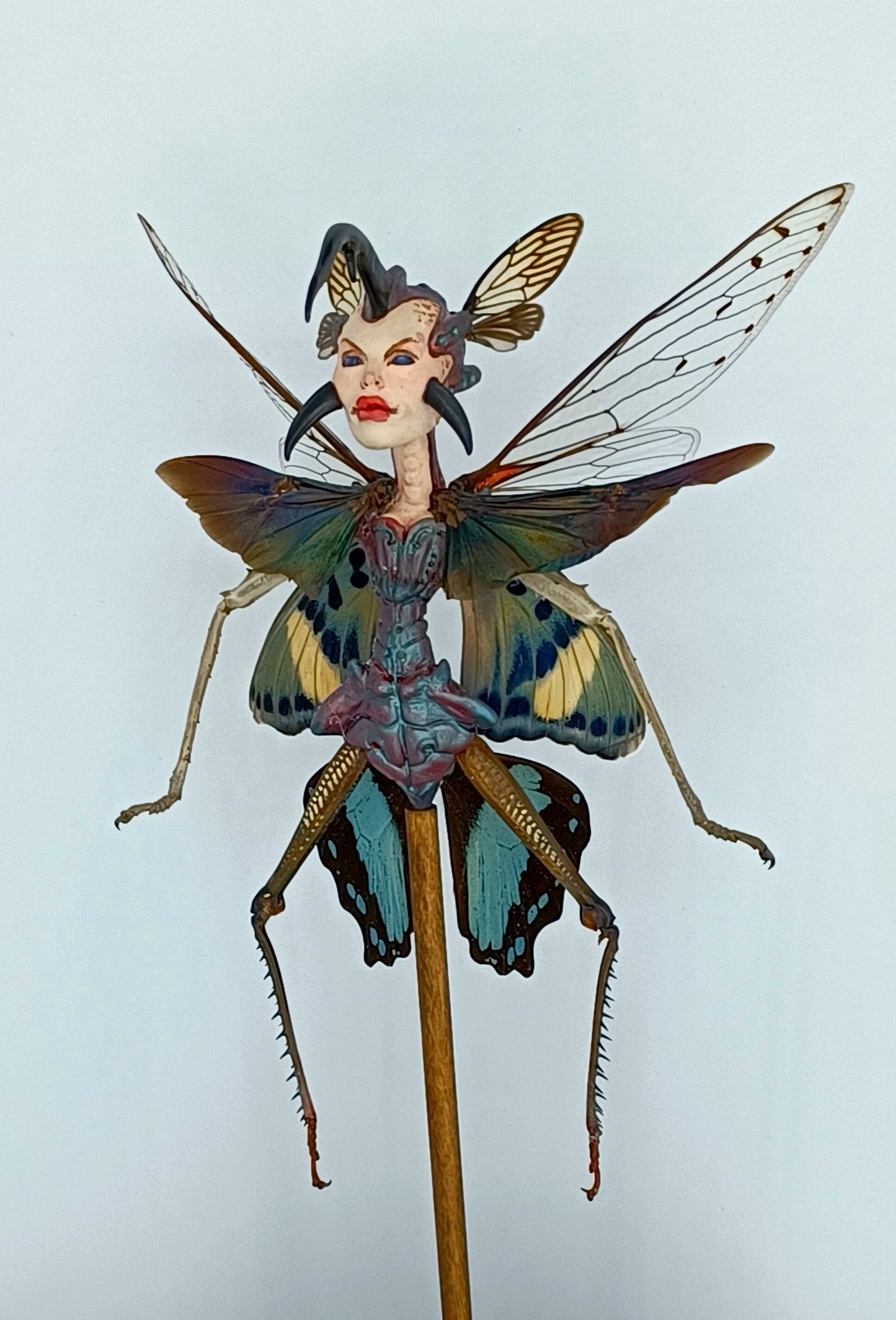 Mythix Royal Fairy - Specimen #052
