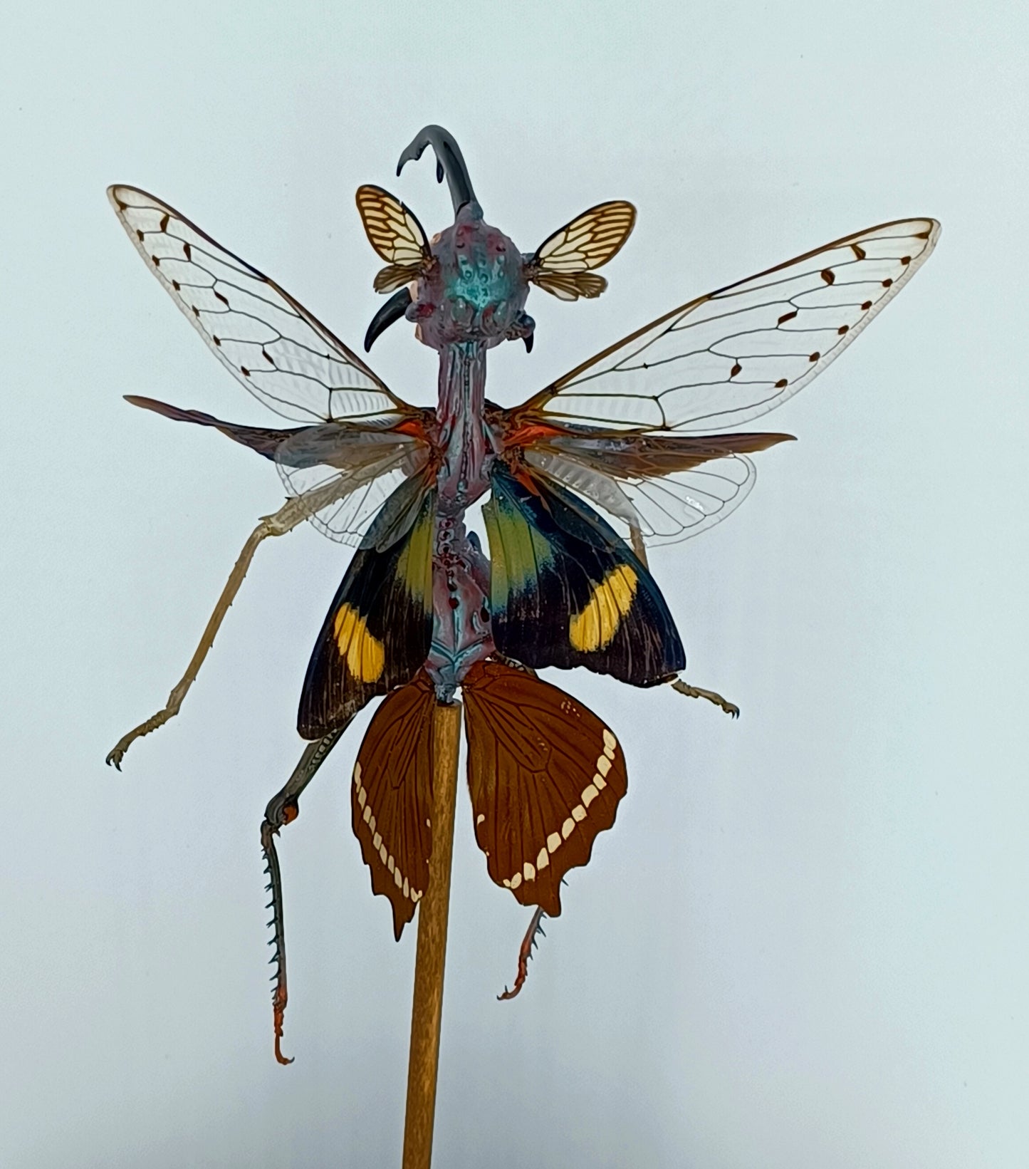 Mythix Royal Fairy - Specimen #052