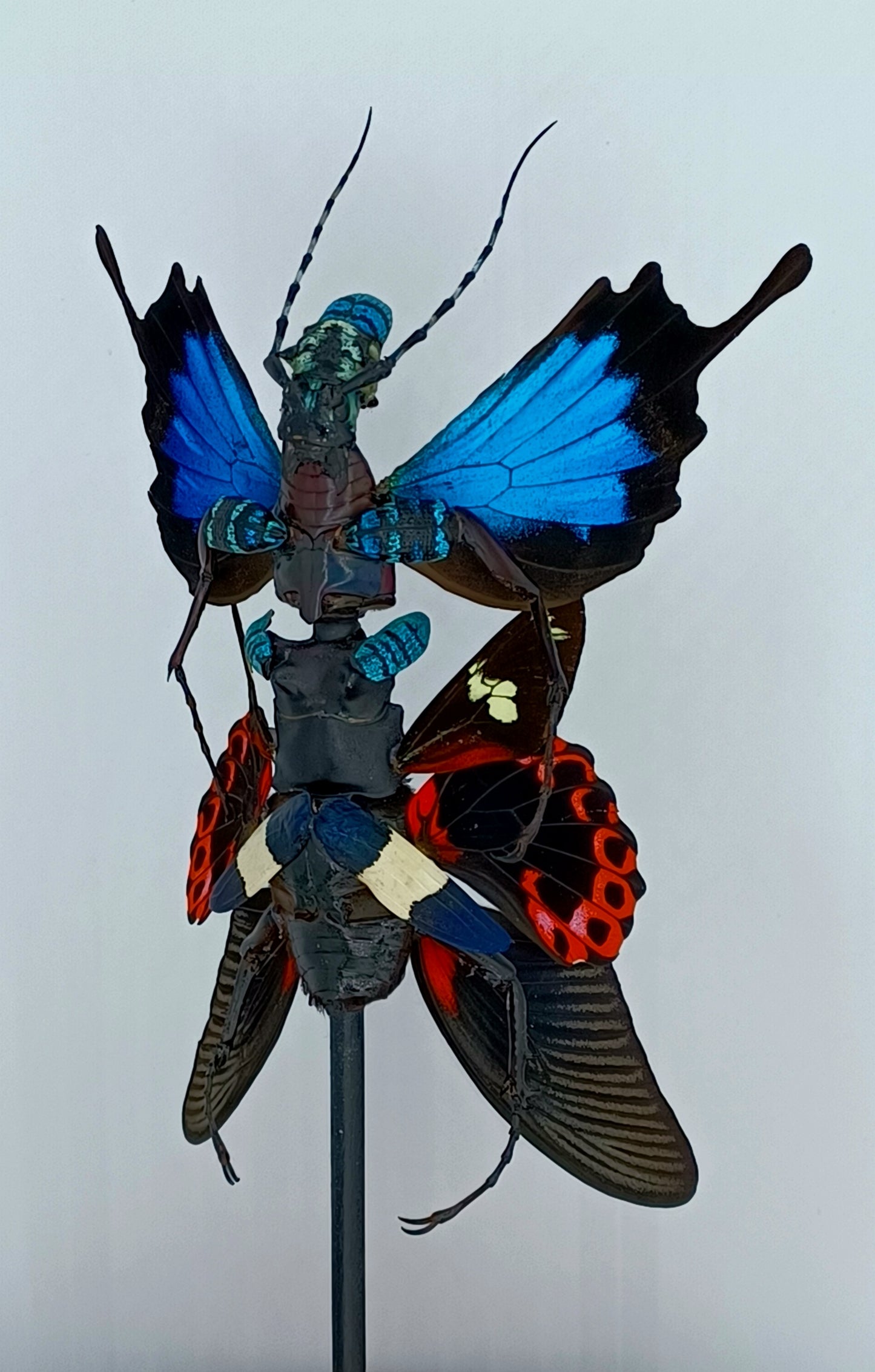 Mythix Fairy Scout - Specimen #053