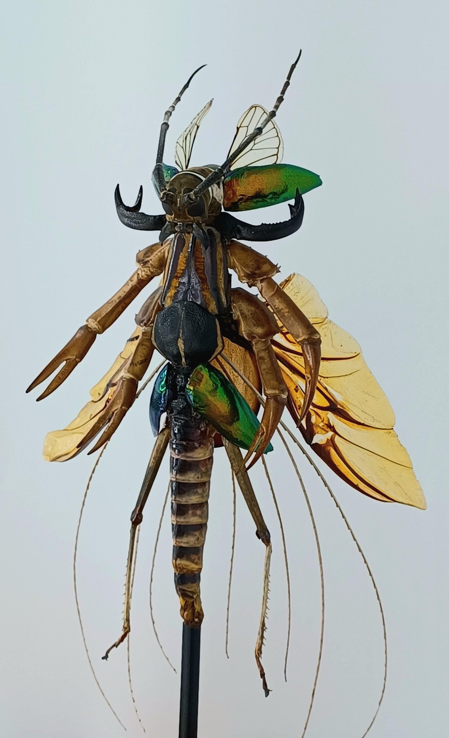 Mythix Fairy Scout - Specimen #056