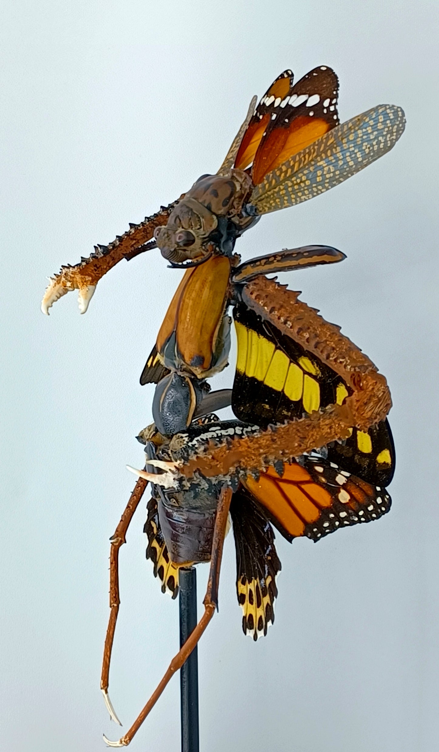 Mythix Darkling Sprite Soldier - Specimen #055