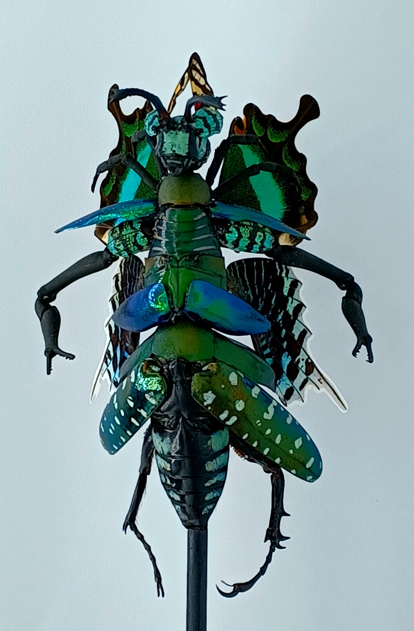 Mythix Fairy Scout - Specimen #057
