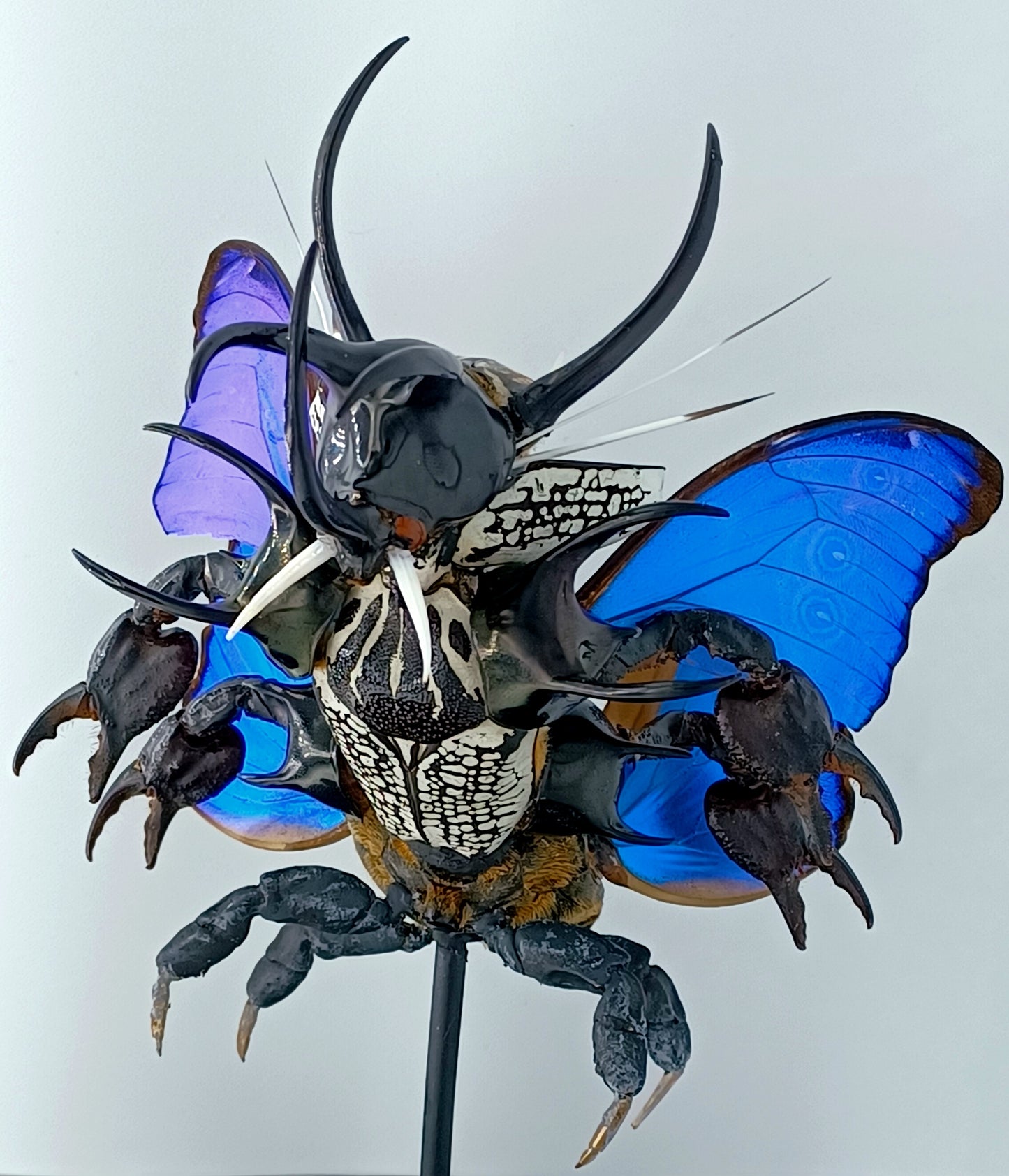 Mythix Darkling Sprite Soldier - Specimen #065