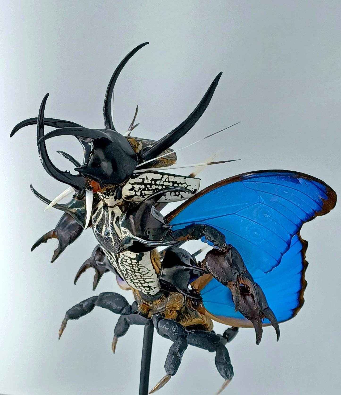 Mythix Darkling Sprite Soldier - Specimen #065