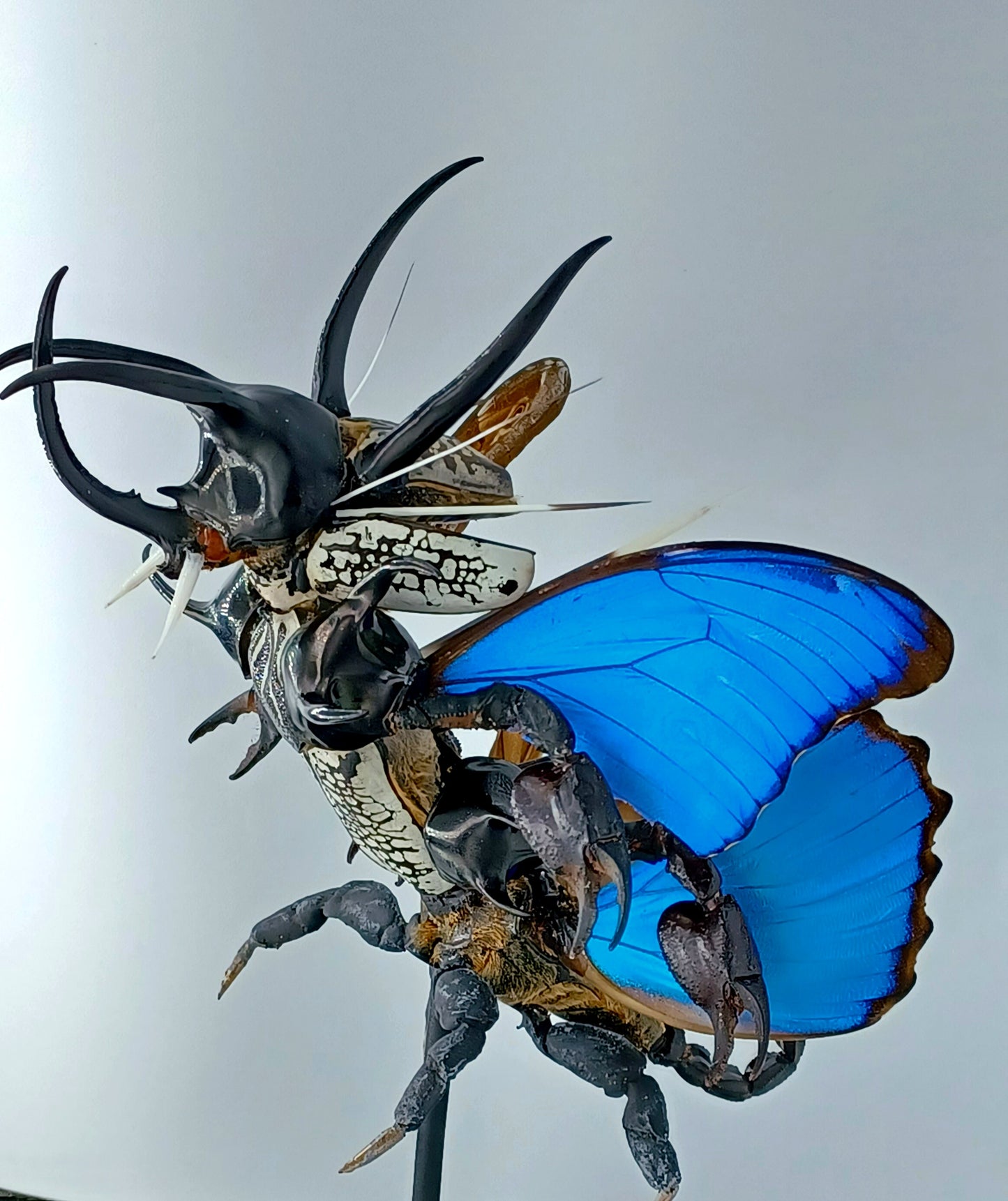 Mythix Darkling Sprite Soldier - Specimen #065