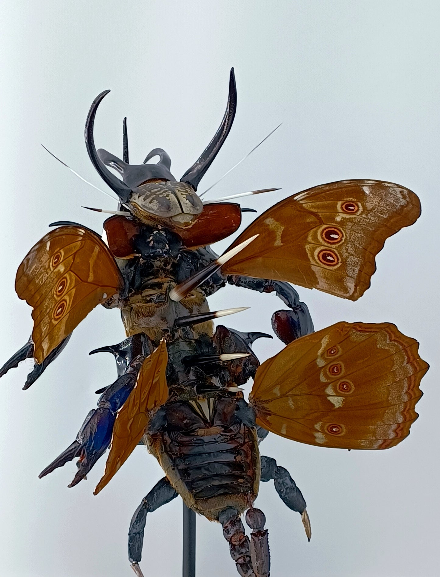 Mythix Darkling Sprite Soldier - Specimen #065