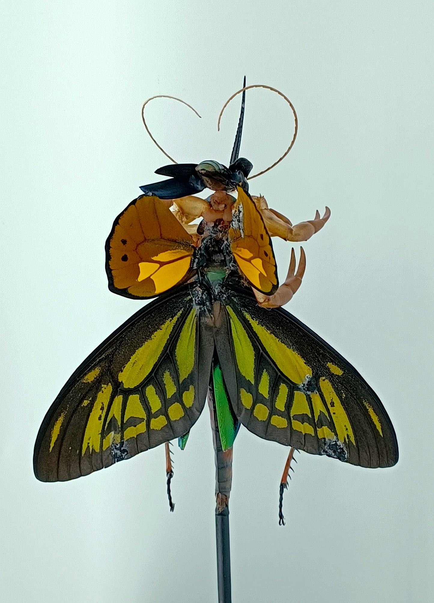 Mythix Fairy Scout - Specimen #066