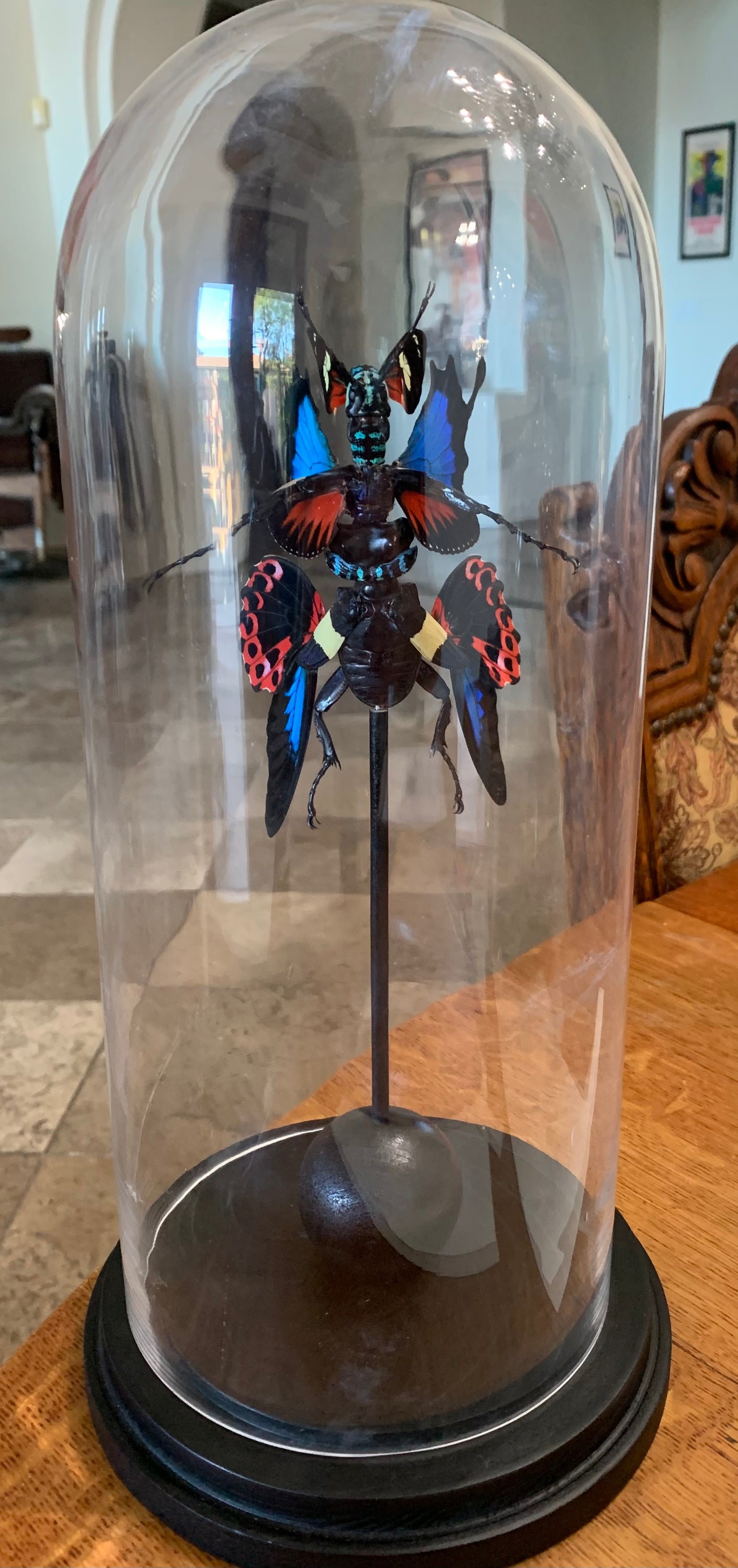 Mythix Fairy - Specimen #028
