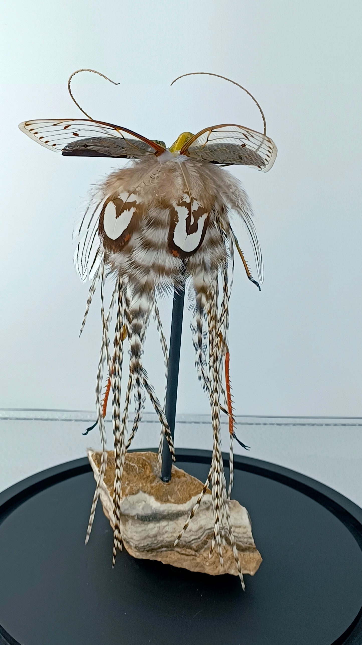 Mythix Fairy - Specimen #083