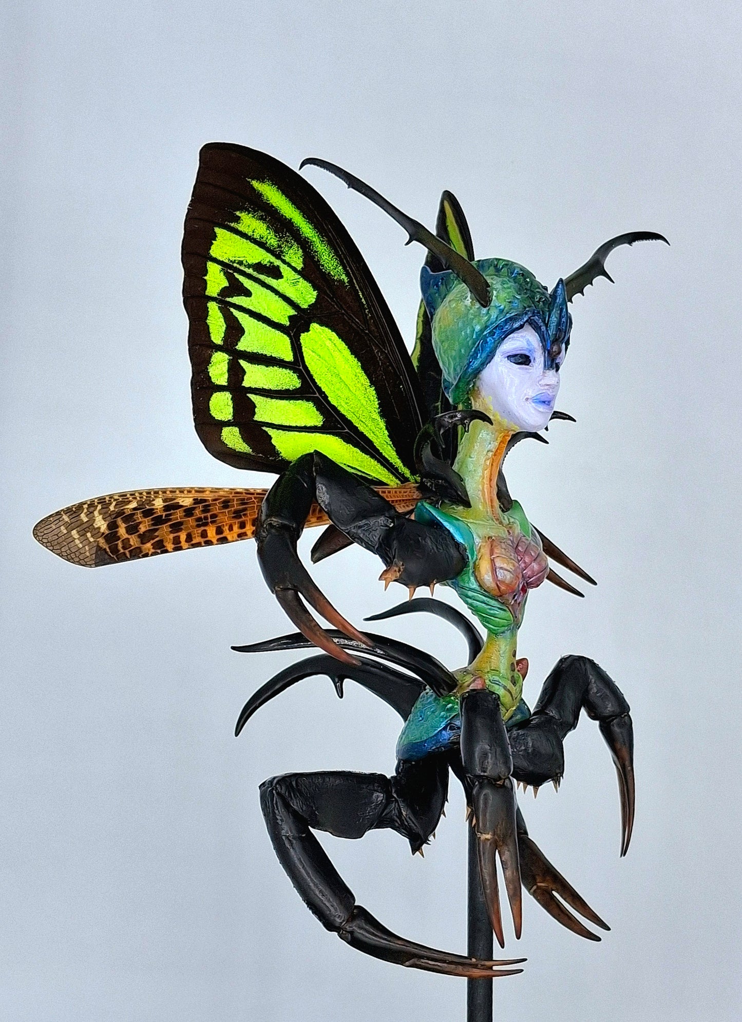 Mythix Royal Fairy - Specimen #07