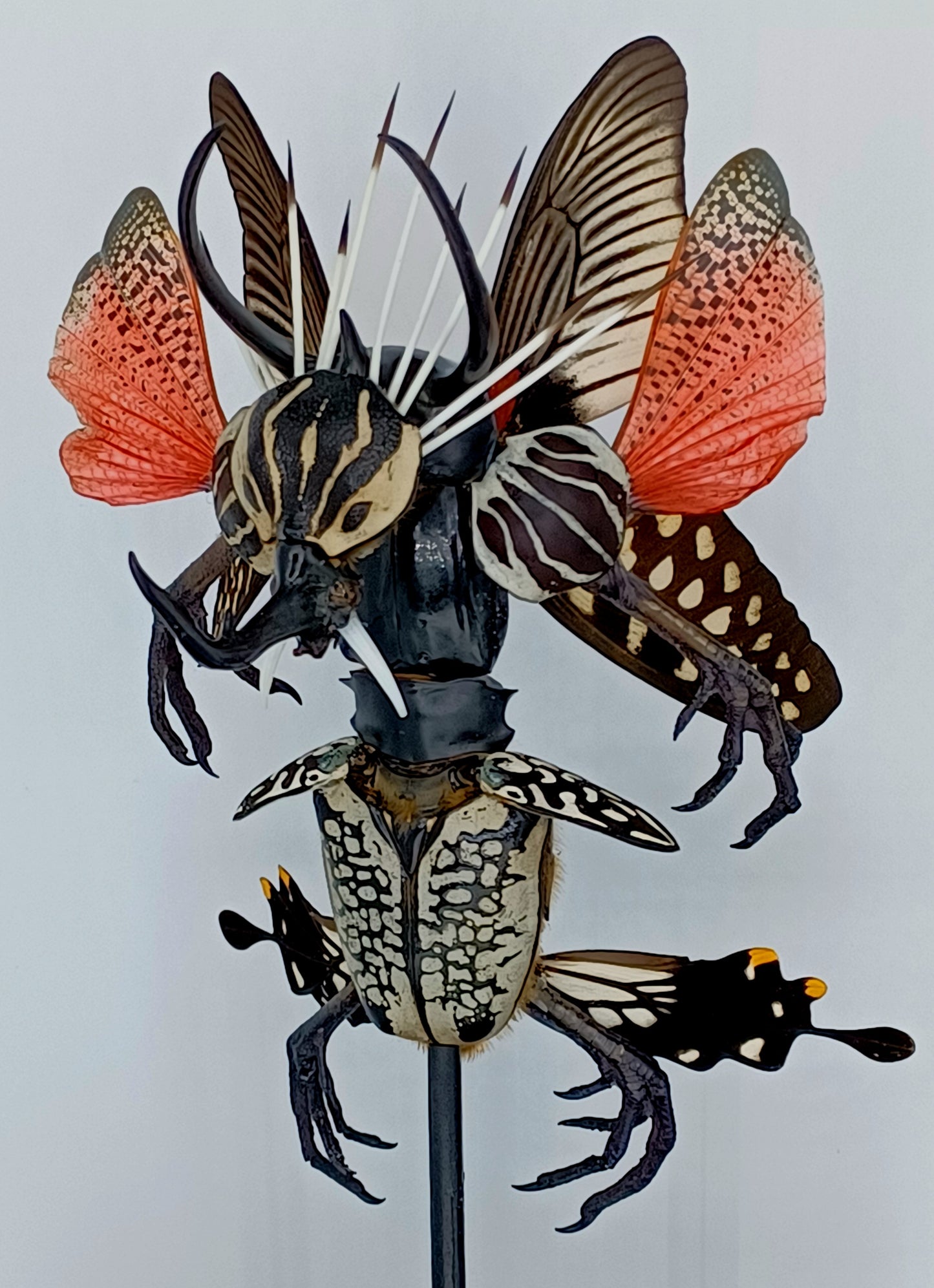 Mythix Darkling Sprite Soldier - Specimen #017