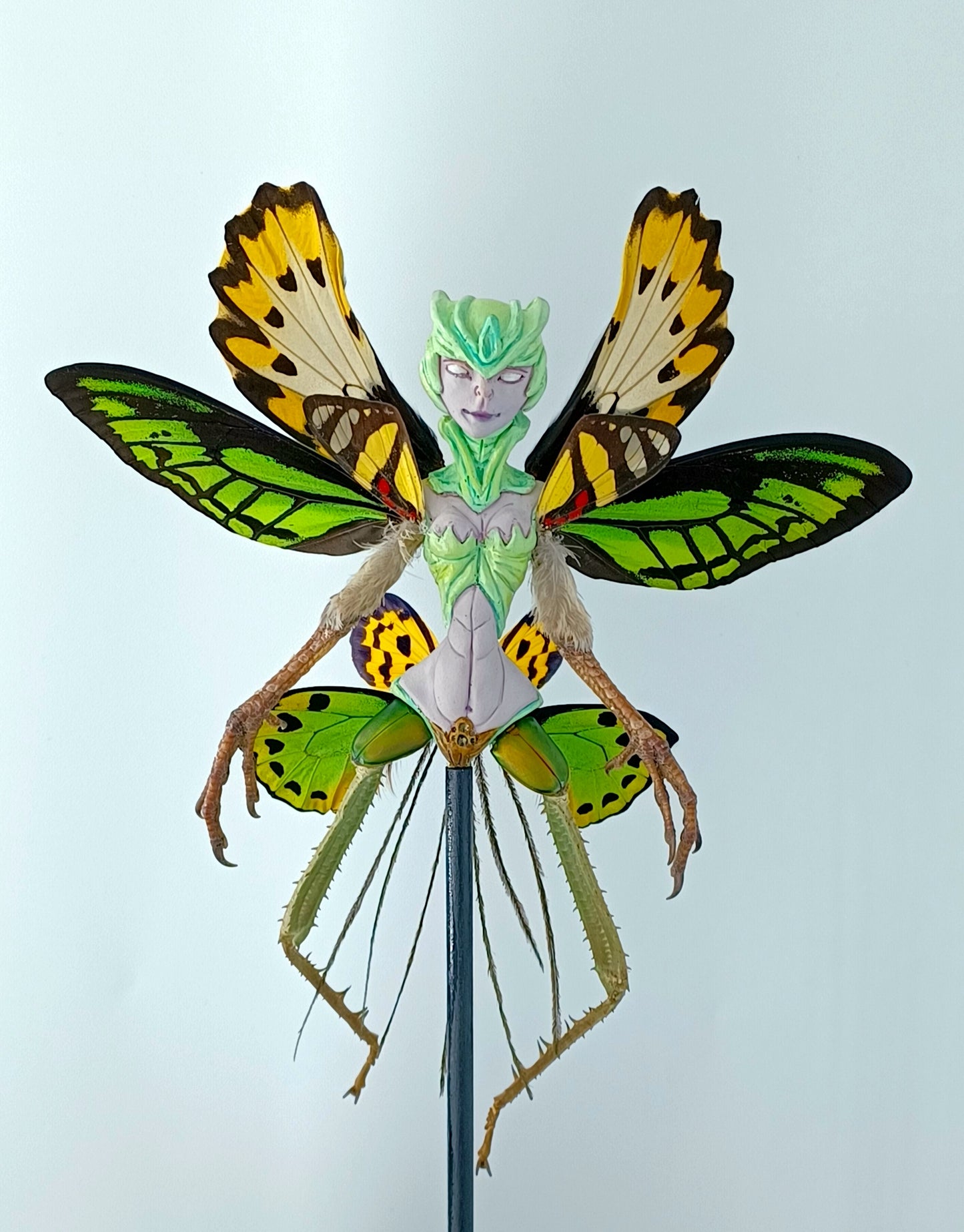 Mythix Royal Fairy - Specimen #042