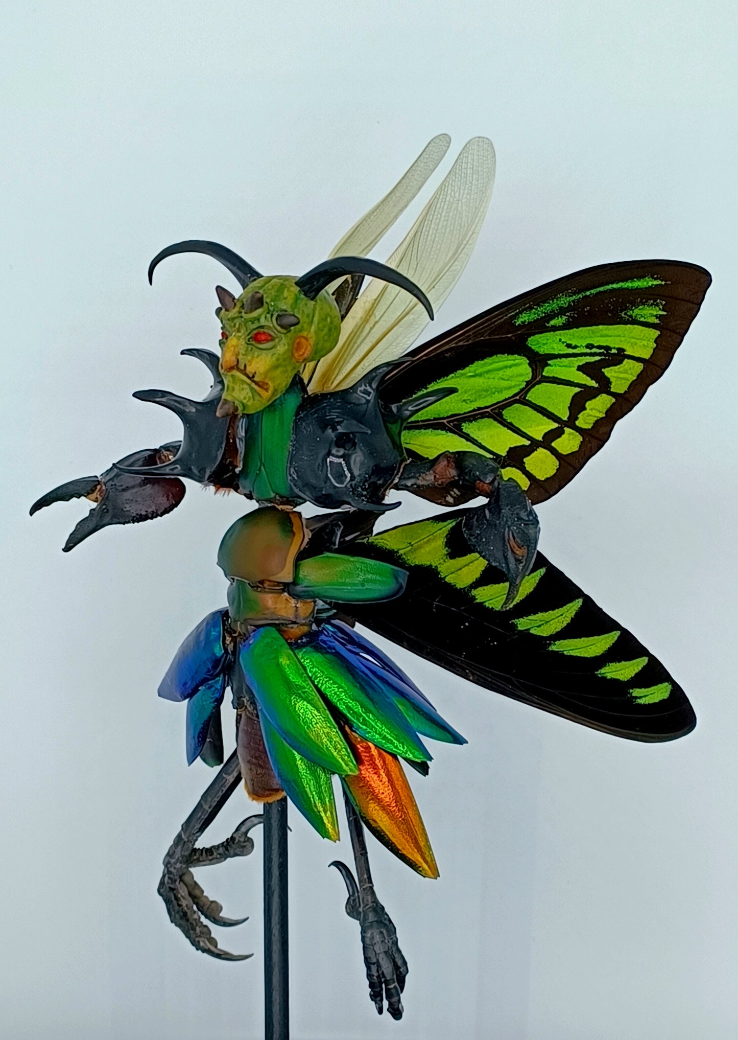 Mythix Royal Darkling Sprite - Specimen #046