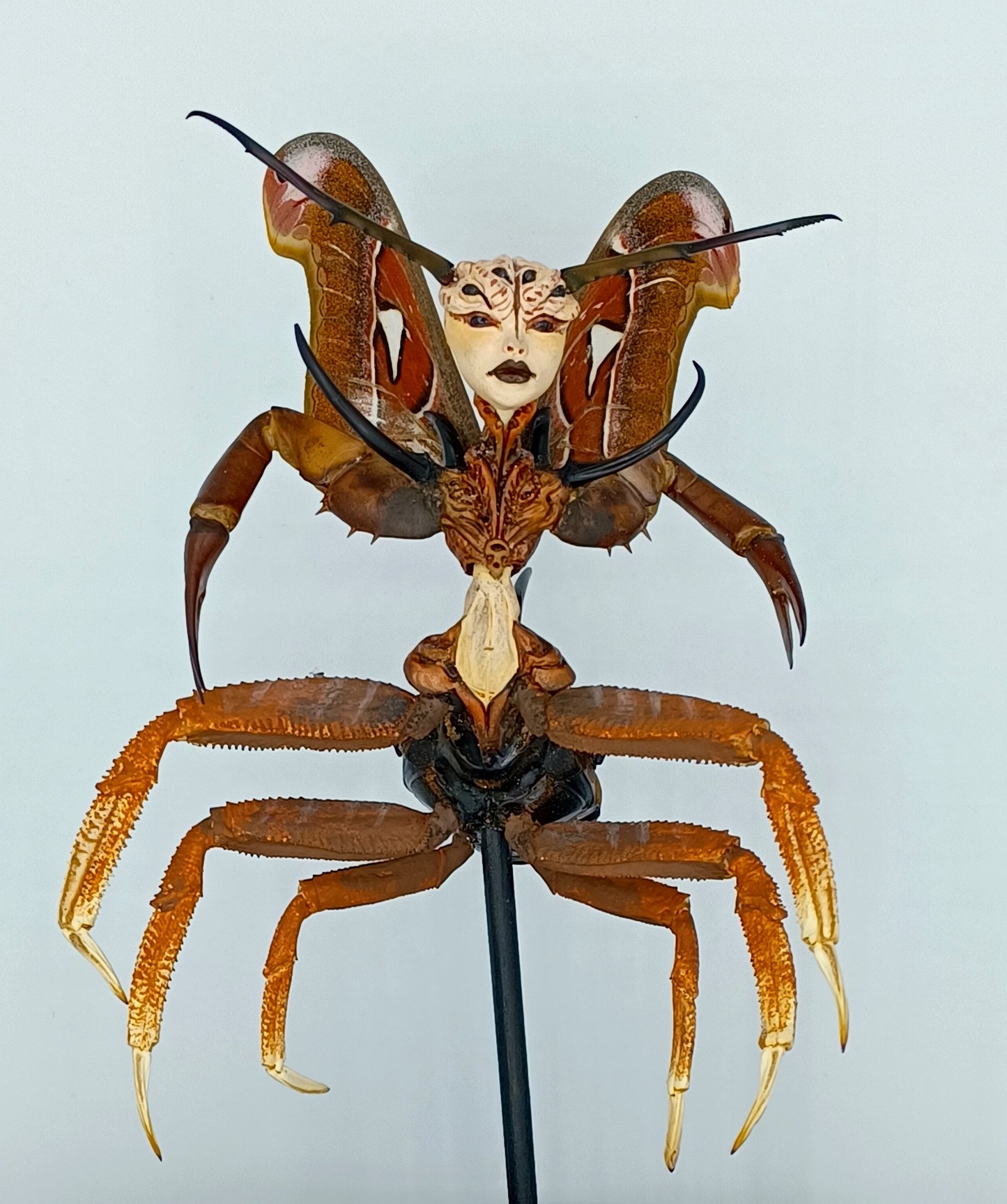 Mythix Royal Fairy - Specimen #047