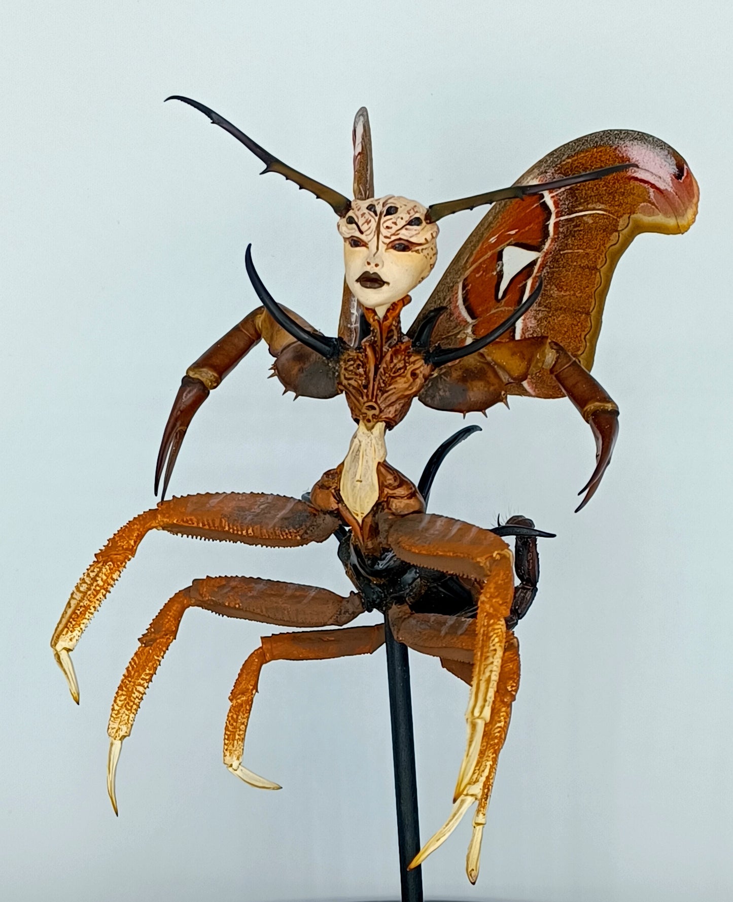 Mythix Royal Fairy - Specimen #047