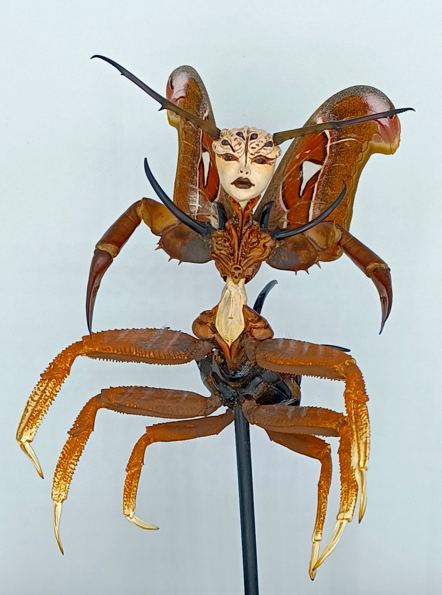 Mythix Royal Fairy - Specimen #047
