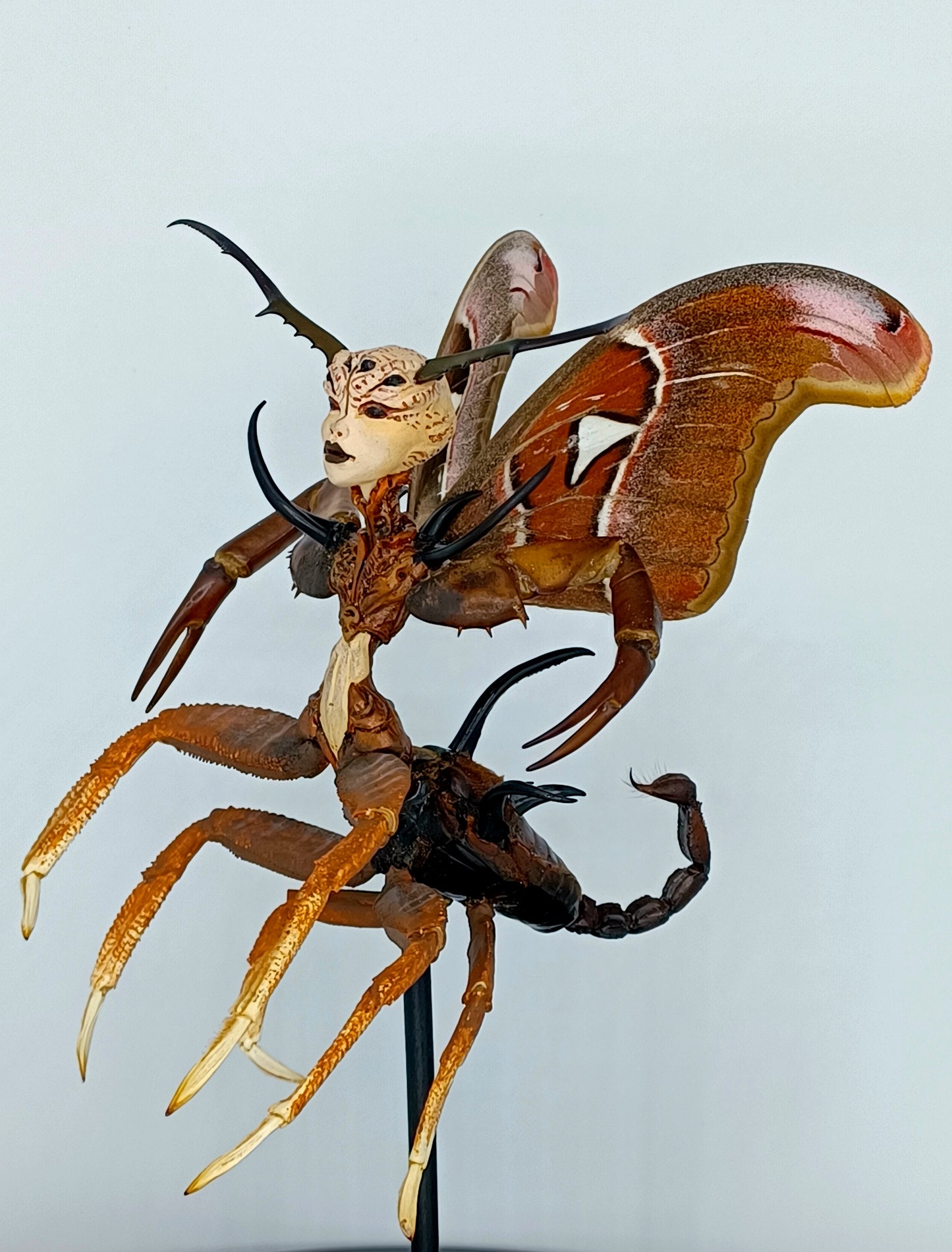 Mythix Royal Fairy - Specimen #047