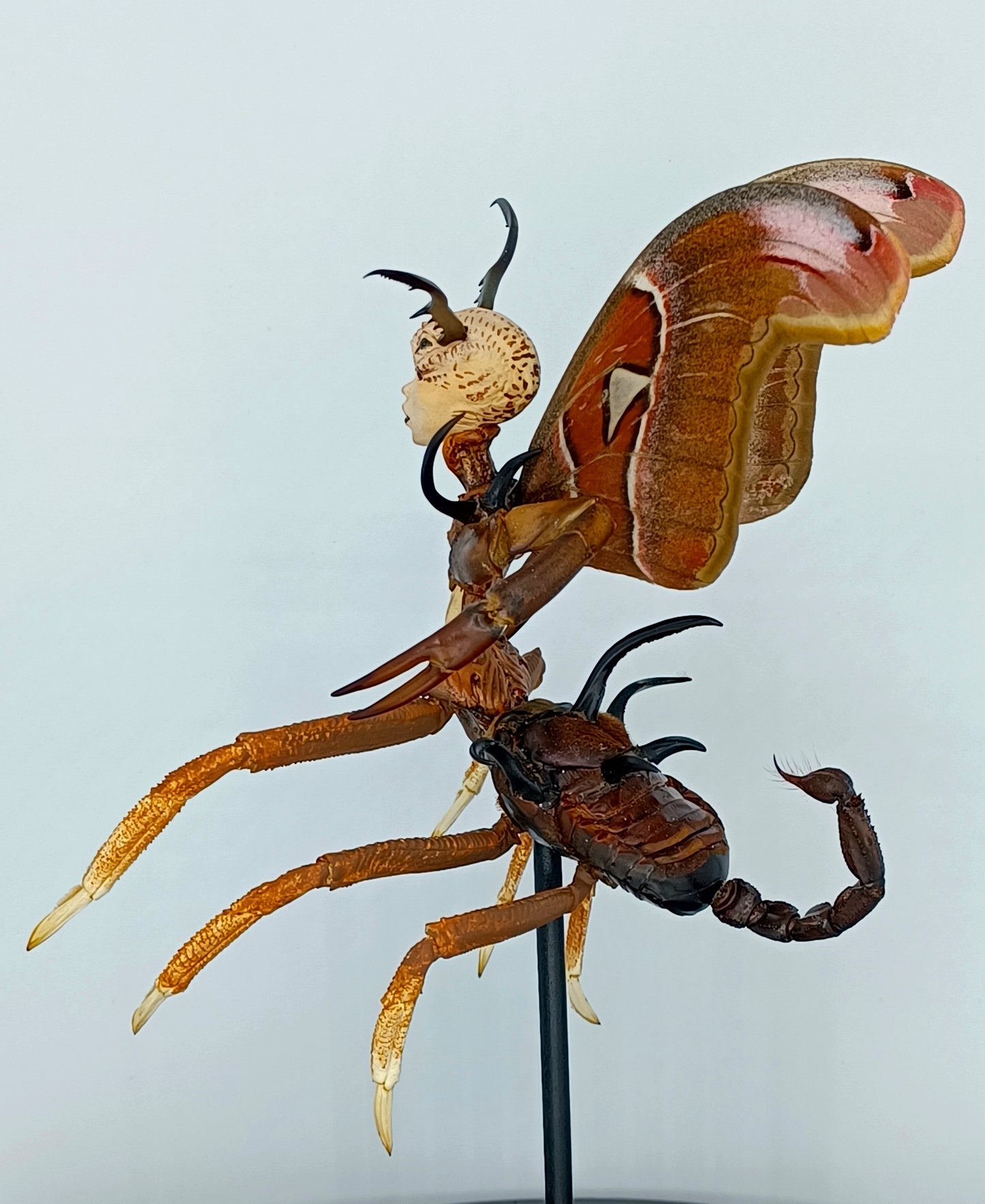 Mythix Royal Fairy - Specimen #047