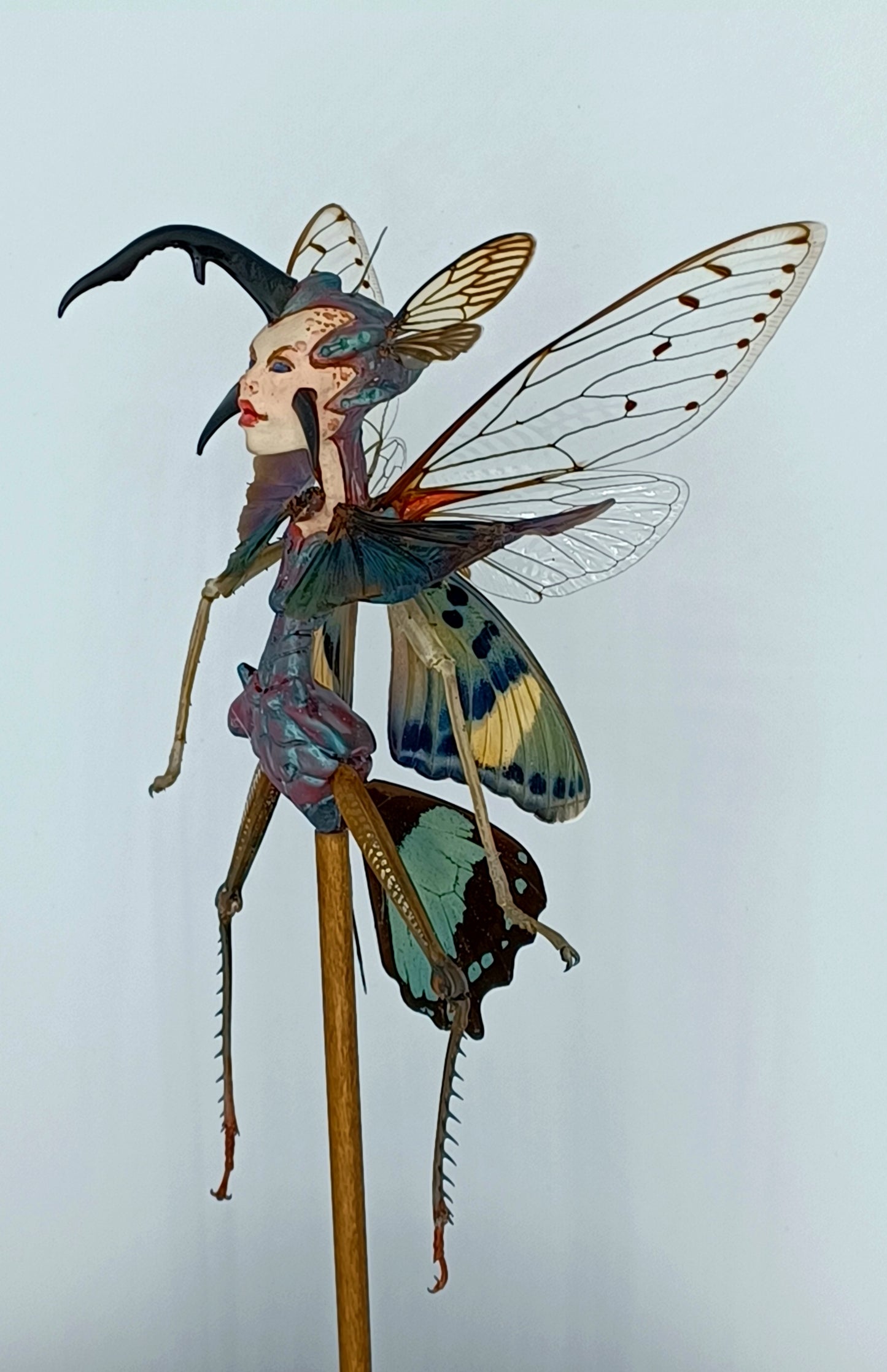 Mythix Royal Fairy -  Specimen #052