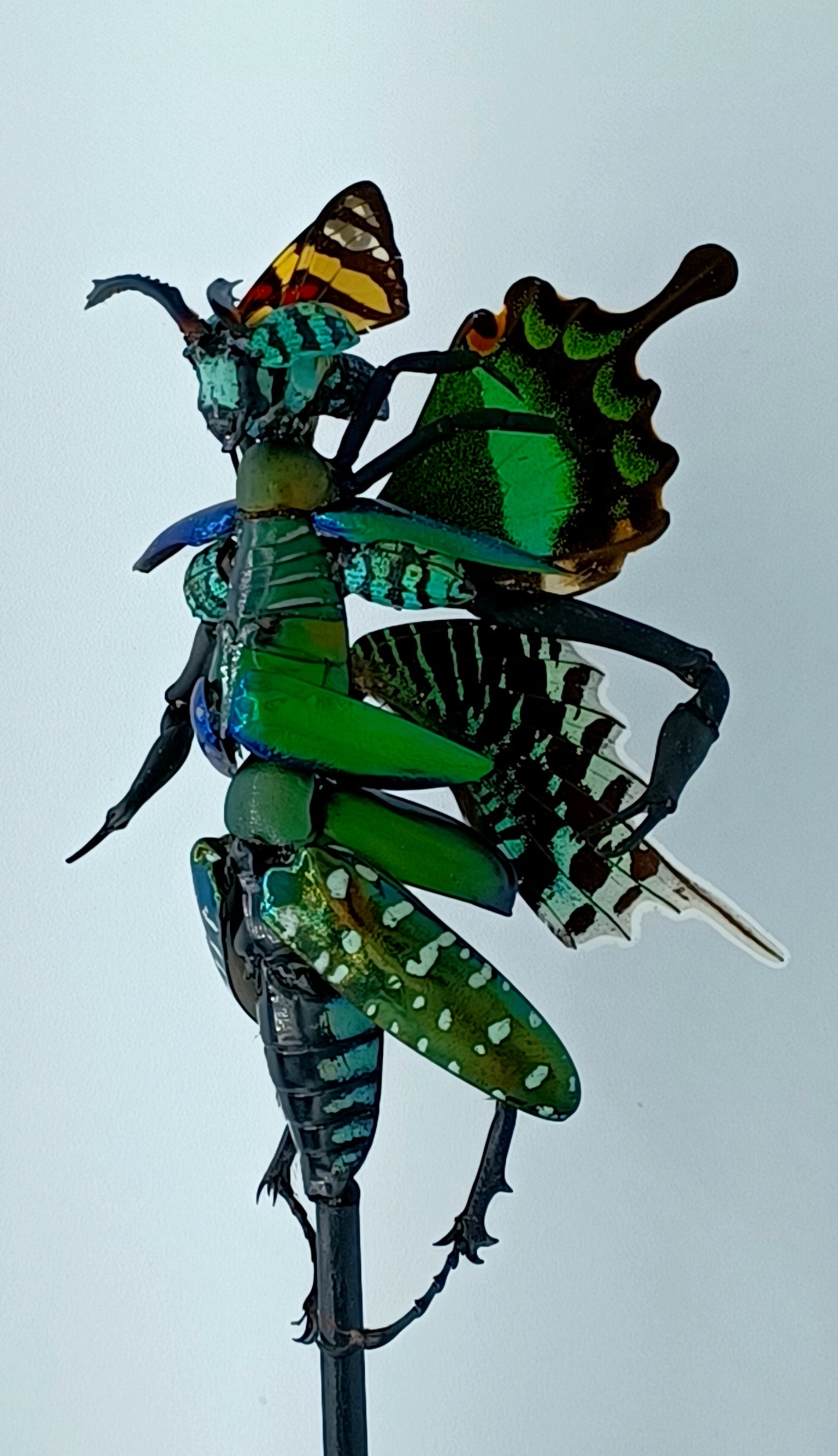 Mythix Fairy Scout - Specimen #057