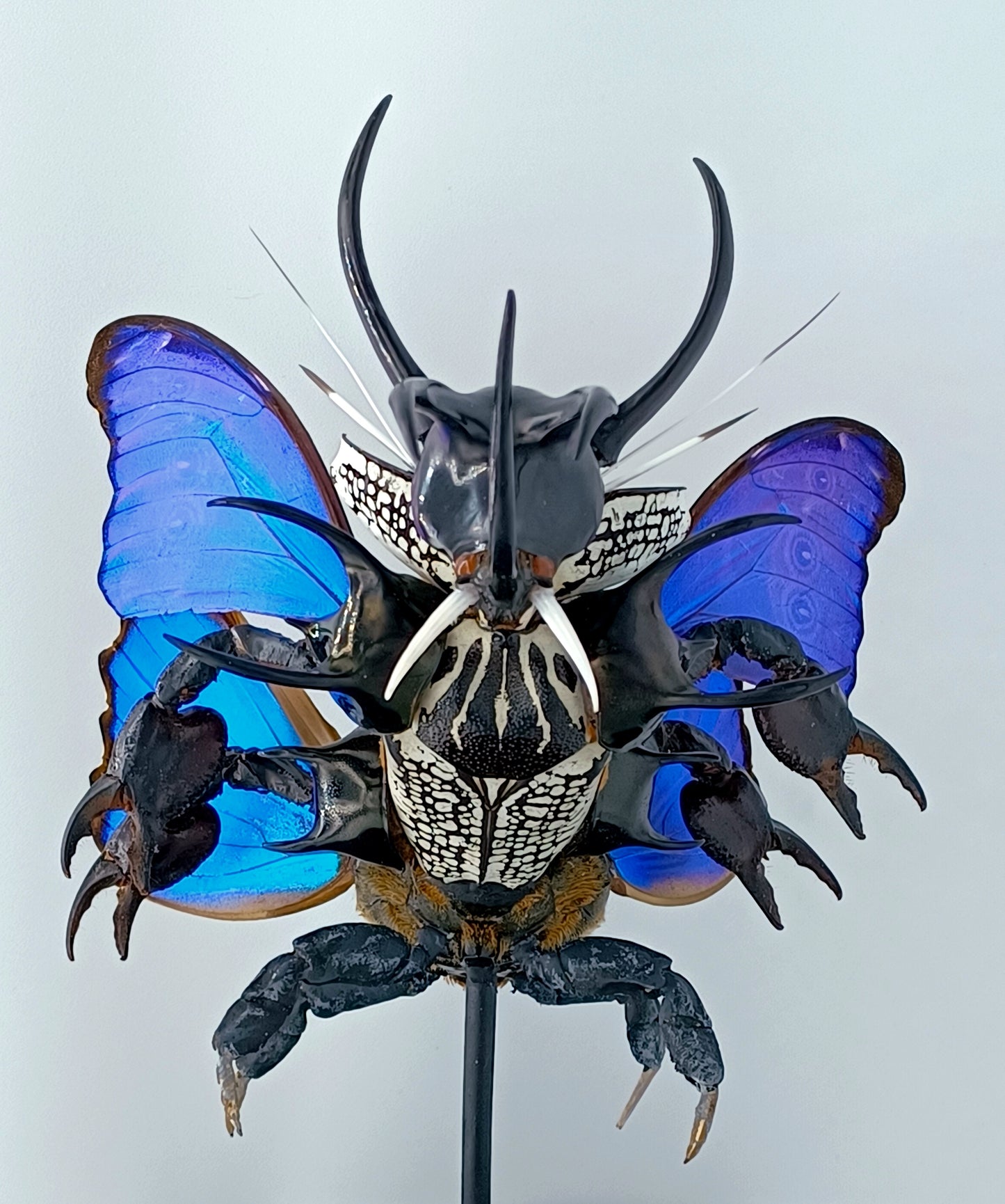 Mythix Darkling Sprite Soldier - Specimen #065
